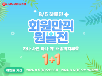 8월 원쁠전